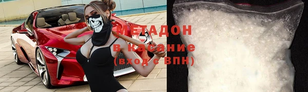 прущие грибы Верея