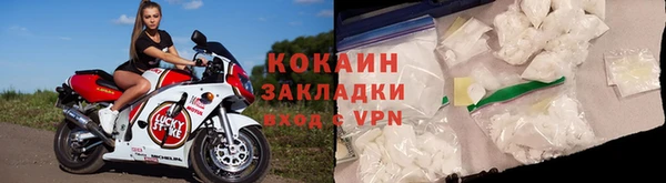 индика Вязьма