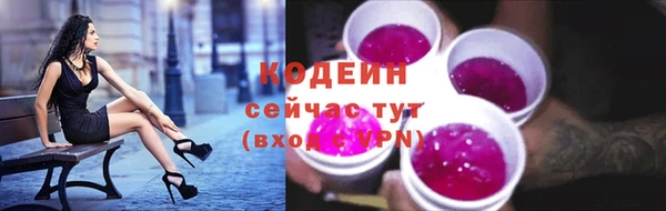 прущие грибы Верея
