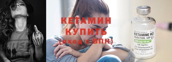 прущие грибы Верея