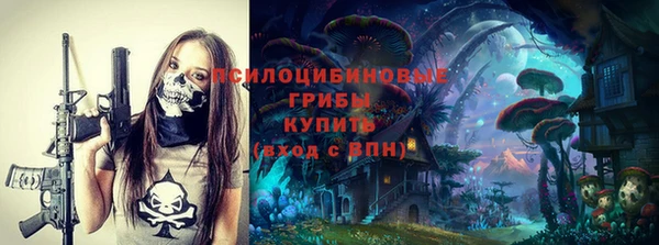 прущие грибы Верея