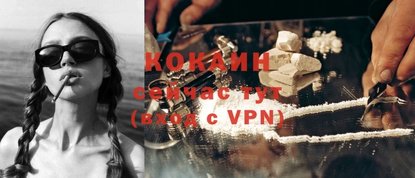 индика Волосово