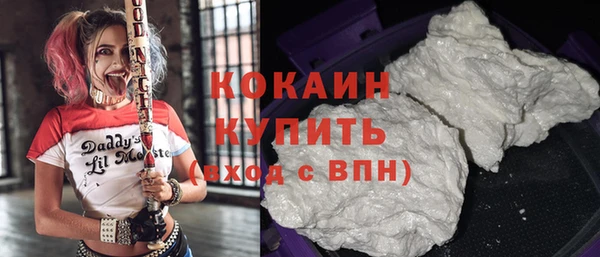индика Вязьма