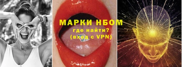 индика Вязьма