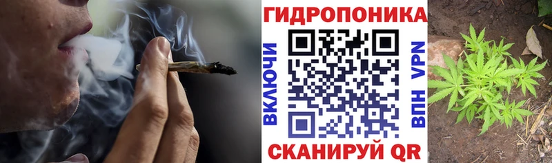Каннабис сатива  продажа наркотиков  Ивдель 